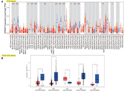 The role of TGR5 as an onco-immunological biomarker in tumor staging and prognosis by encompassing the tumor microenvironment